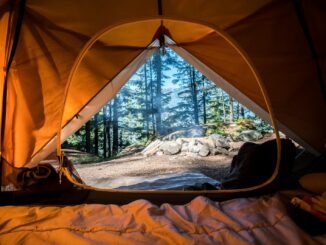 orange camping tent near green trees